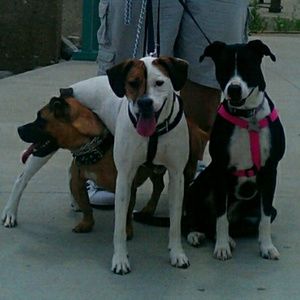 Meet your Posher, Sandra